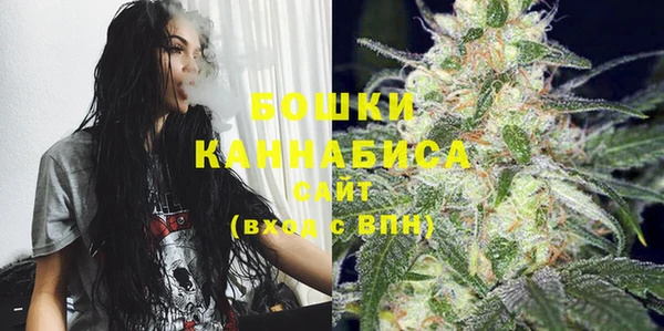 молекула духа Белоозёрский