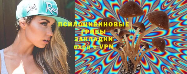 молекула духа Белоозёрский