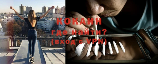 молекула духа Белоозёрский